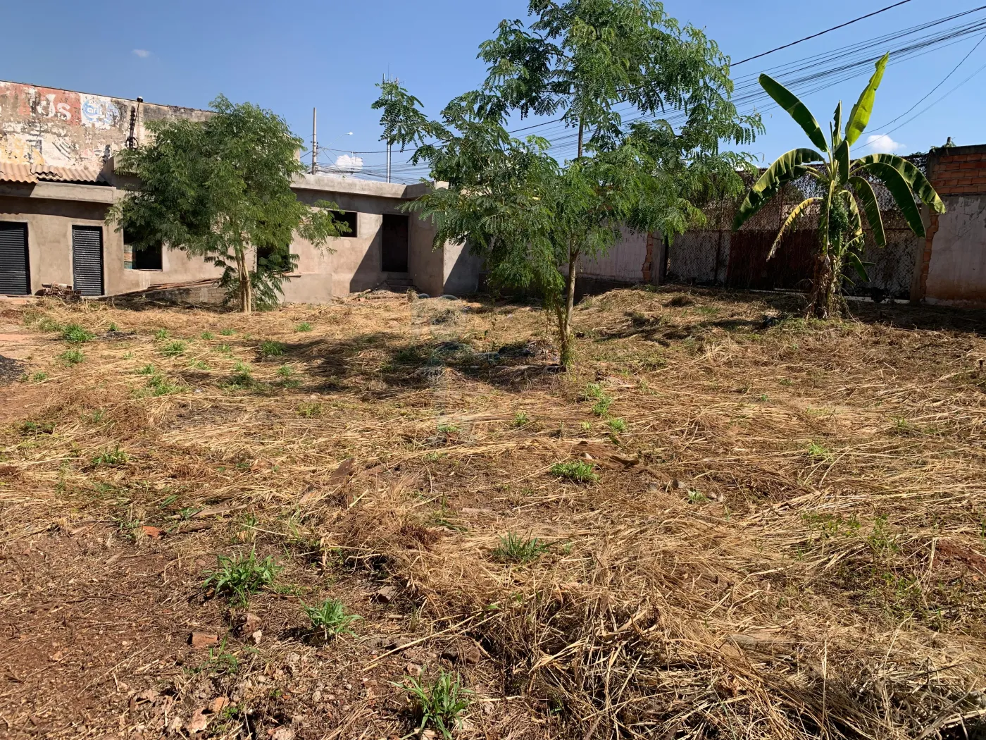 Comprar Comercial padrão / Galpão - Armazém em Ribeirão Preto R$ 1.000.000,00 - Foto 8