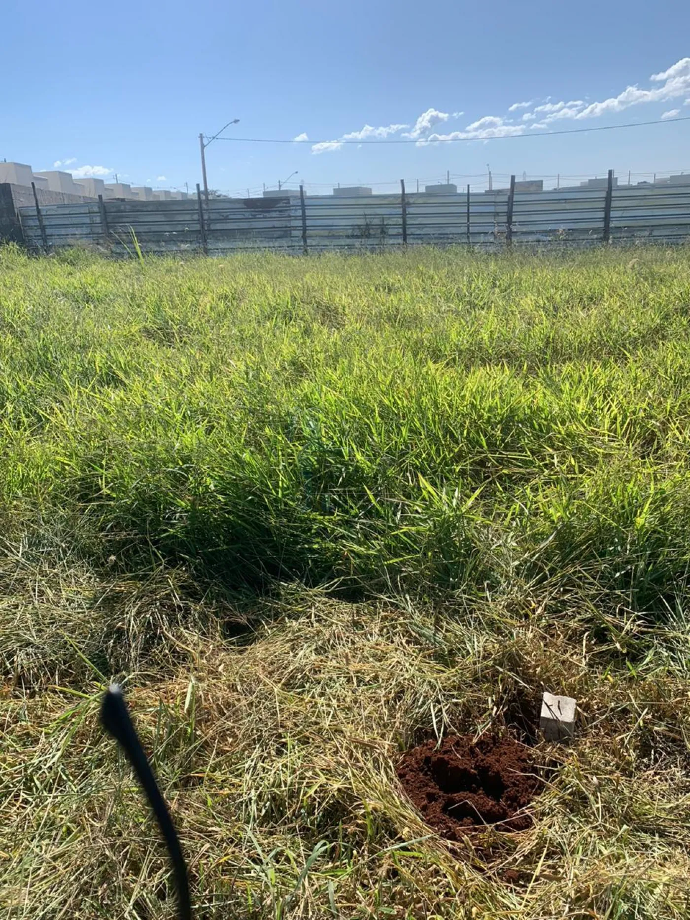 Comprar Terreno / Padrão em Ribeirão Preto R$ 220.000,00 - Foto 2