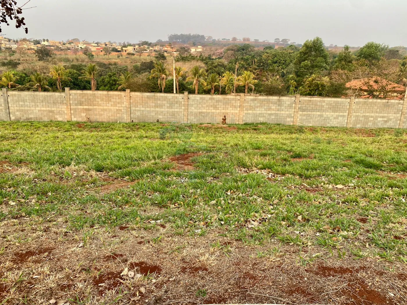 Comprar Terreno / Condomínio em Bonfim Paulista R$ 202.000,00 - Foto 3