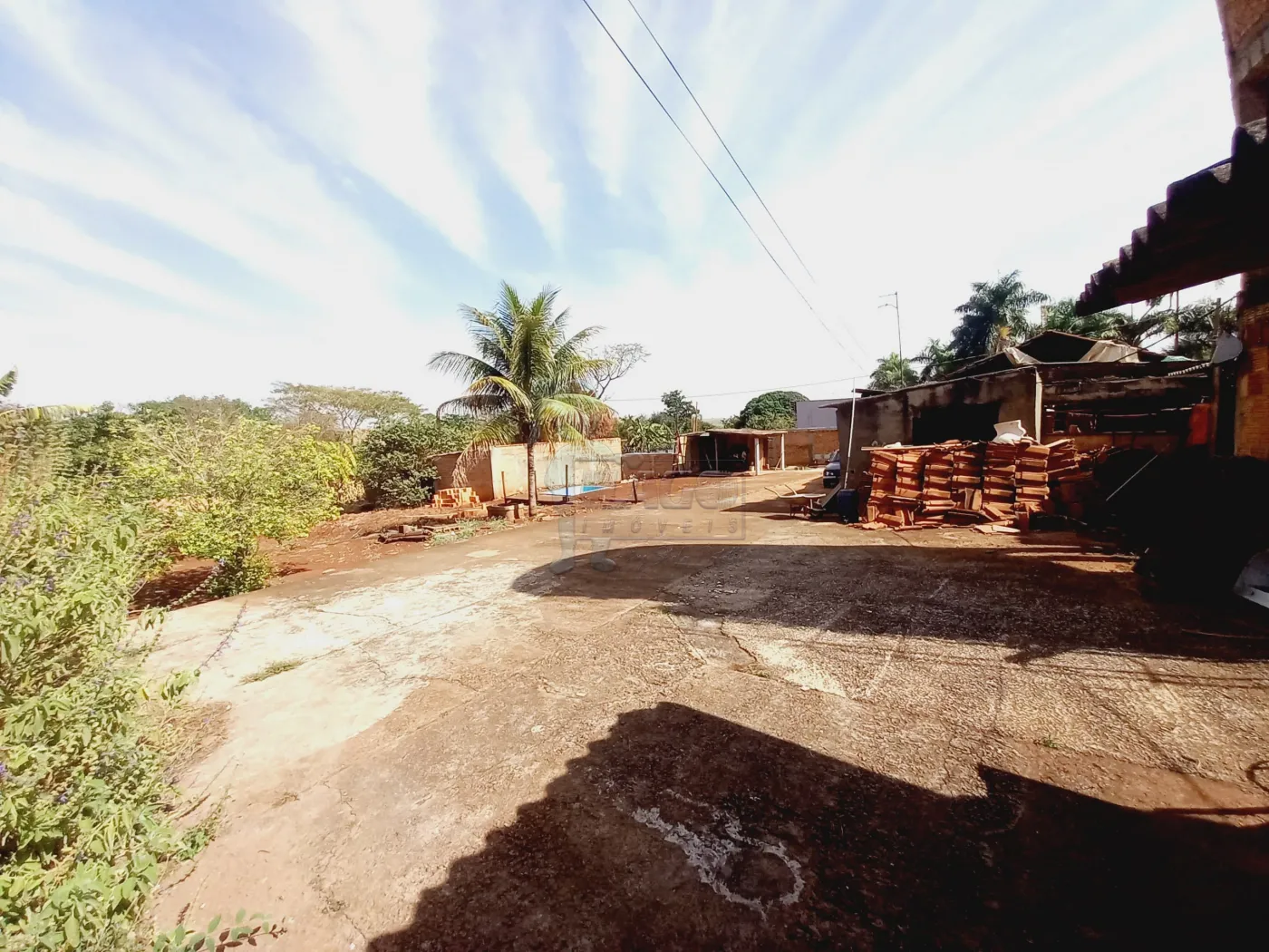 Alugar Casa / Chácara - Rancho em Sertãozinho R$ 3.500,00 - Foto 11