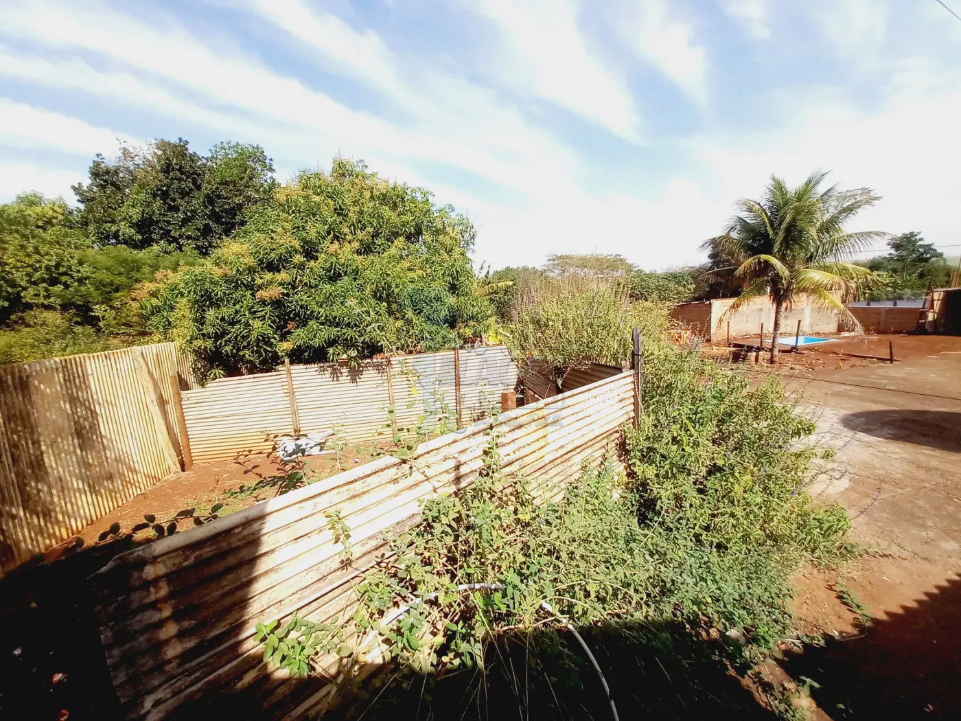 Alugar Casa / Chácara - Rancho em Sertãozinho R$ 3.500,00 - Foto 43