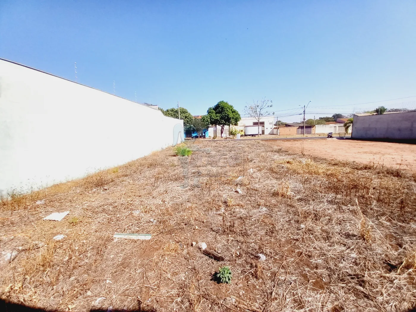 Comprar Terreno / Padrão em Ribeirão Preto R$ 191.000,00 - Foto 3