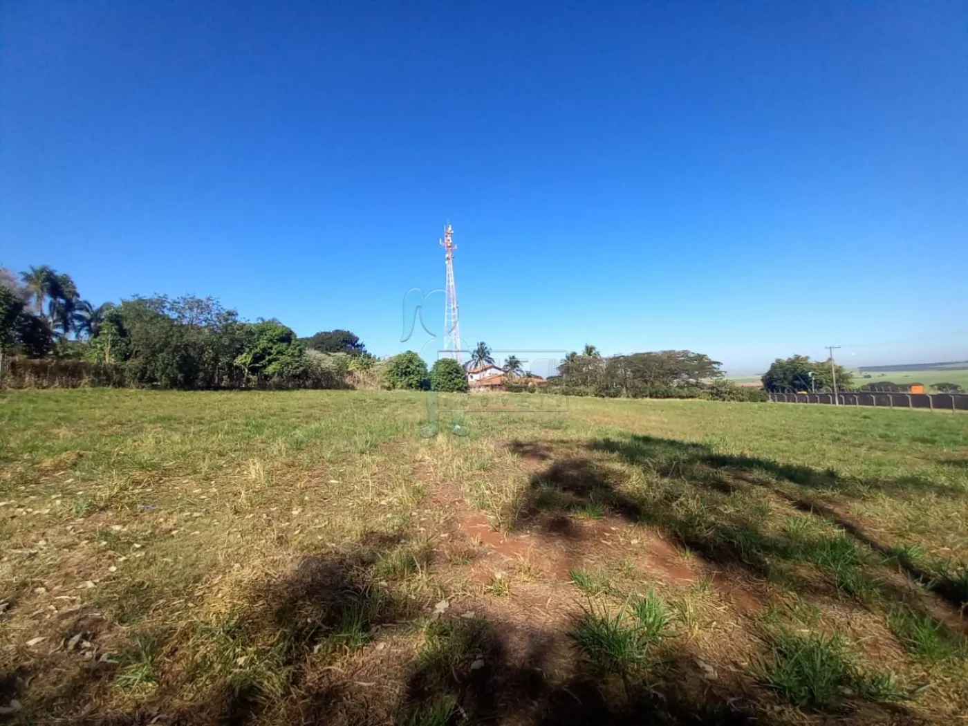 Alugar Terreno / Padrão em Ribeirão Preto R$ 2.500,00 - Foto 4