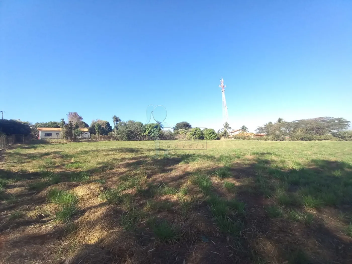 Alugar Terreno / Padrão em Ribeirão Preto R$ 2.500,00 - Foto 5