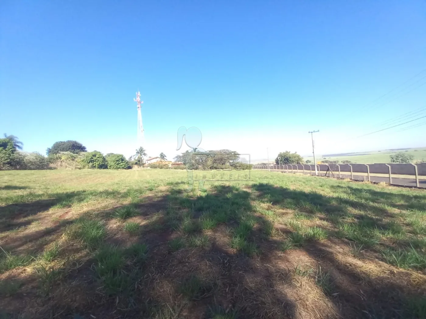 Alugar Terreno / Padrão em Ribeirão Preto R$ 2.500,00 - Foto 6