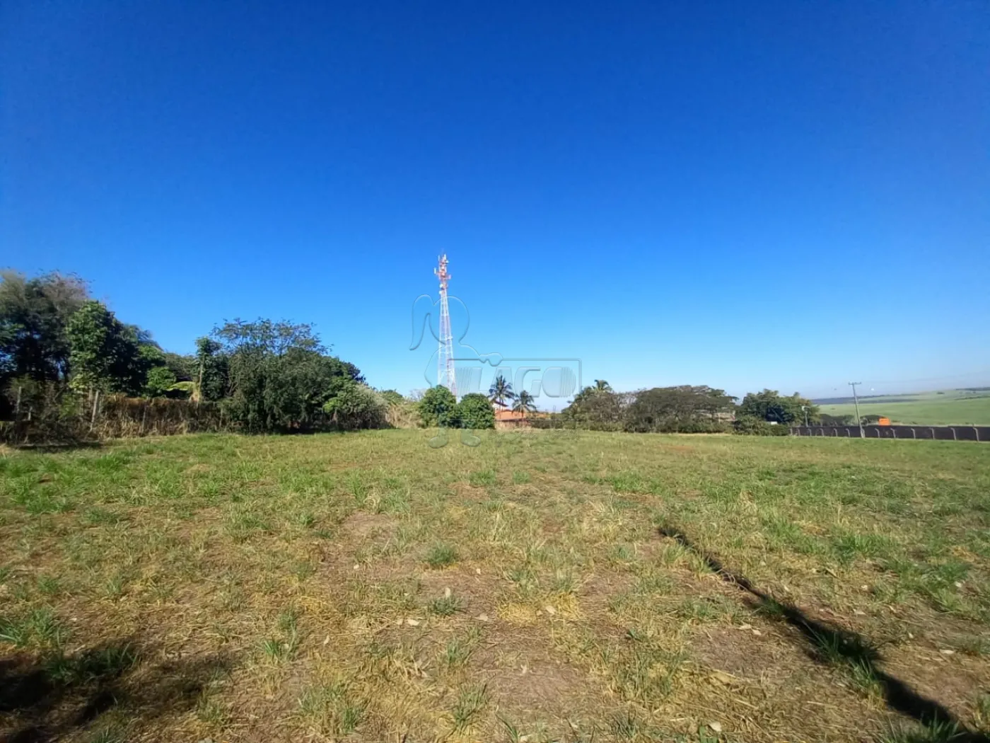 Alugar Terreno / Padrão em Ribeirão Preto R$ 2.500,00 - Foto 7