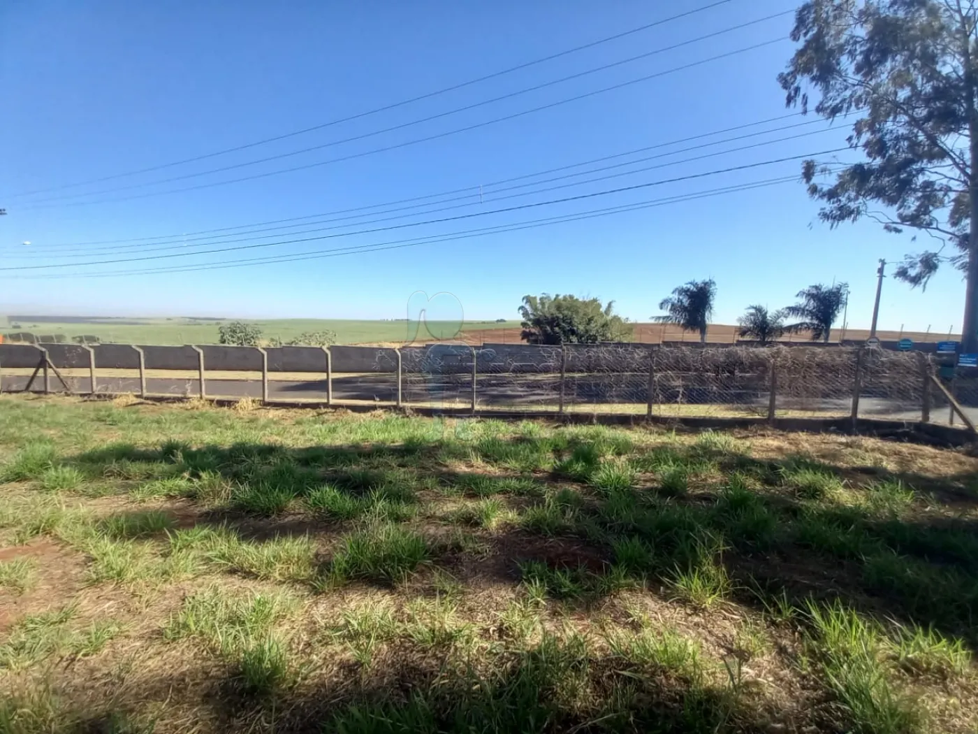 Alugar Terreno / Padrão em Ribeirão Preto R$ 2.500,00 - Foto 8