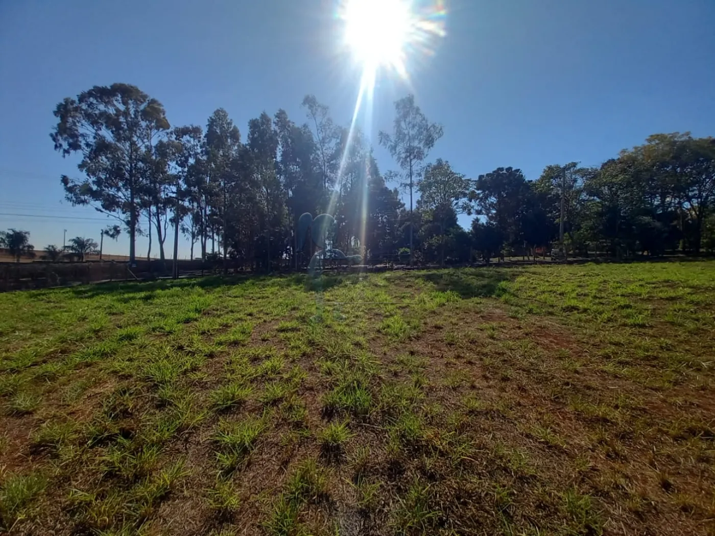 Alugar Terreno / Padrão em Ribeirão Preto R$ 2.500,00 - Foto 10