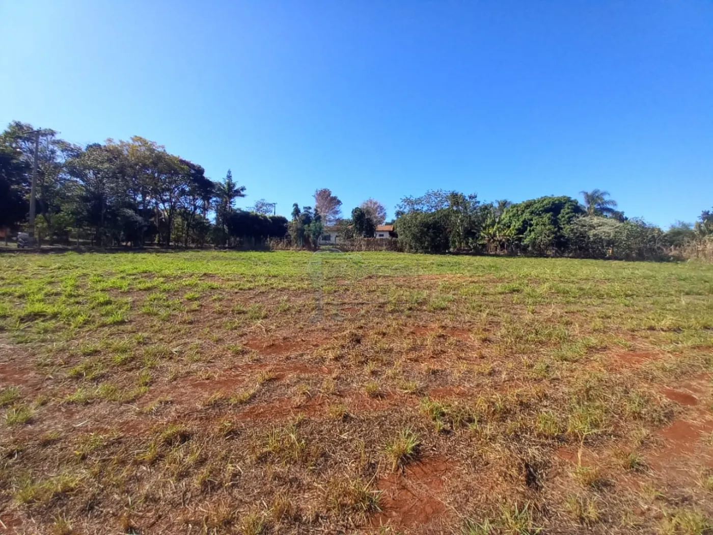 Alugar Terreno / Padrão em Ribeirão Preto R$ 2.500,00 - Foto 11