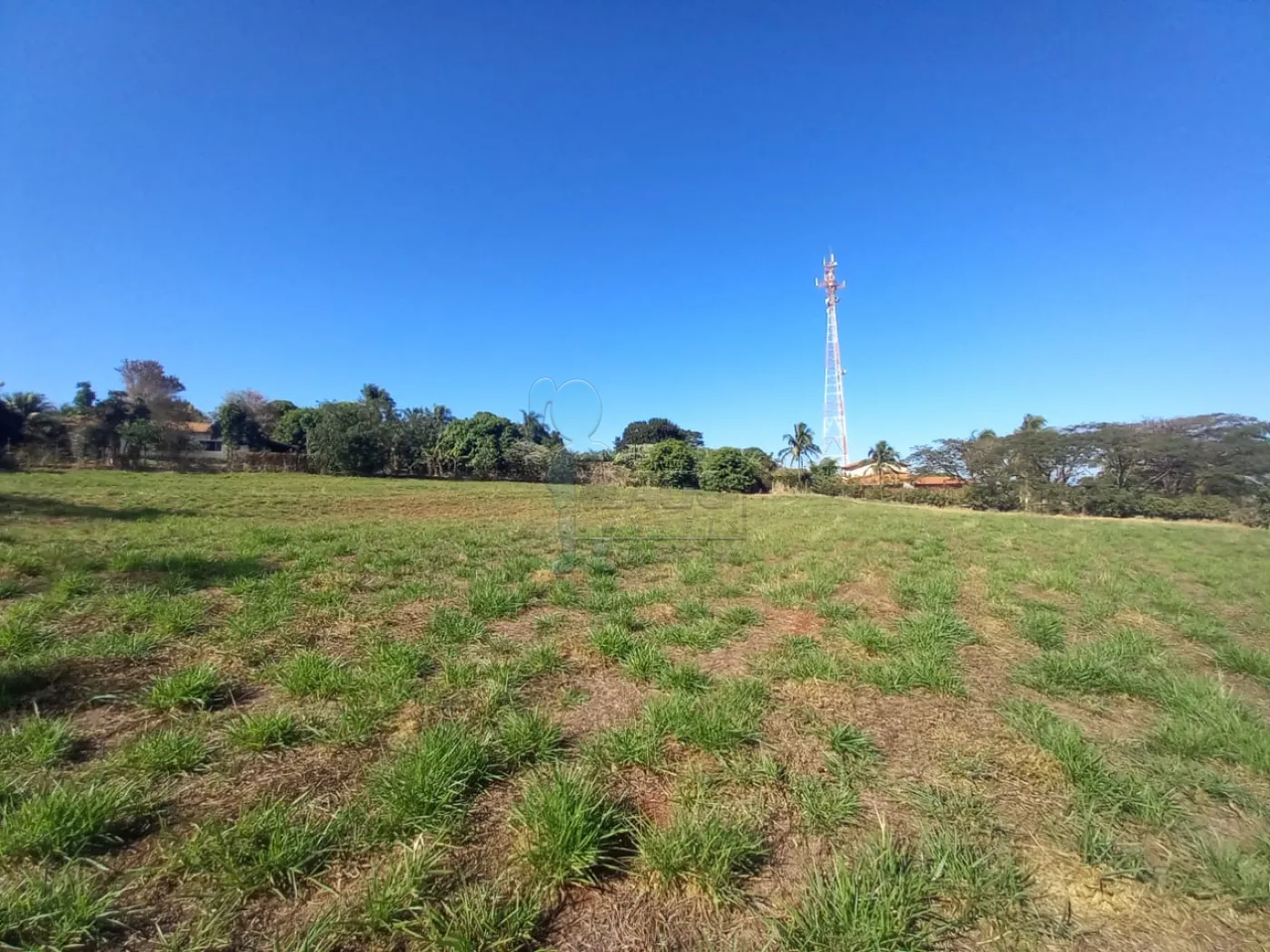 Alugar Terreno / Padrão em Ribeirão Preto R$ 2.500,00 - Foto 12