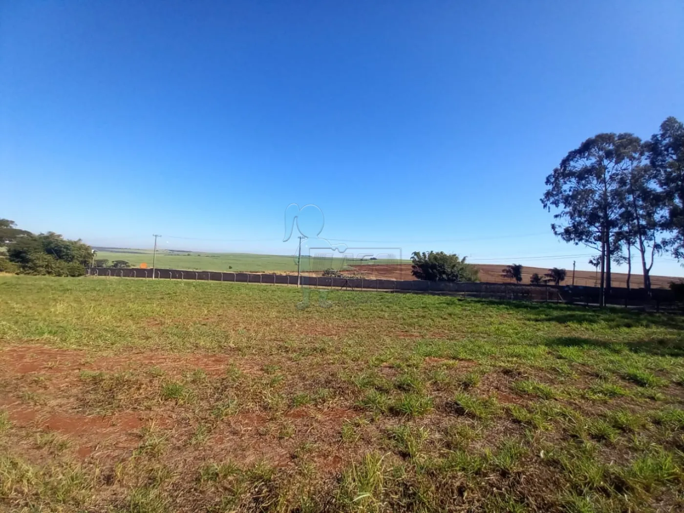 Alugar Terreno / Padrão em Ribeirão Preto R$ 2.500,00 - Foto 13