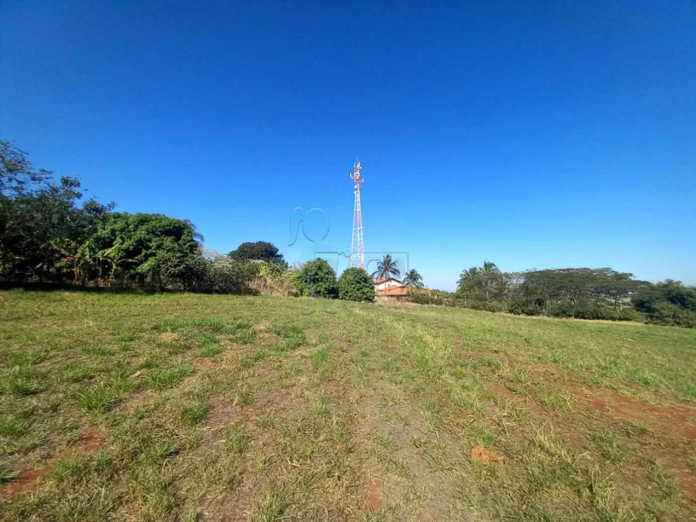 Alugar Terreno / Padrão em Ribeirão Preto R$ 2.500,00 - Foto 14