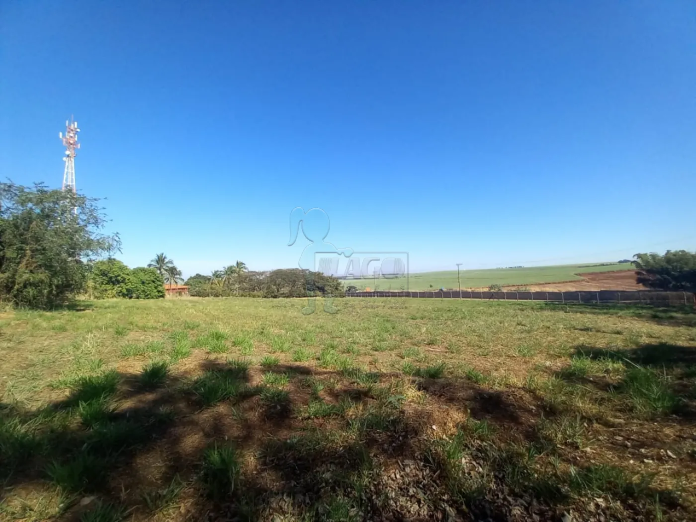 Alugar Terreno / Padrão em Ribeirão Preto R$ 2.500,00 - Foto 16