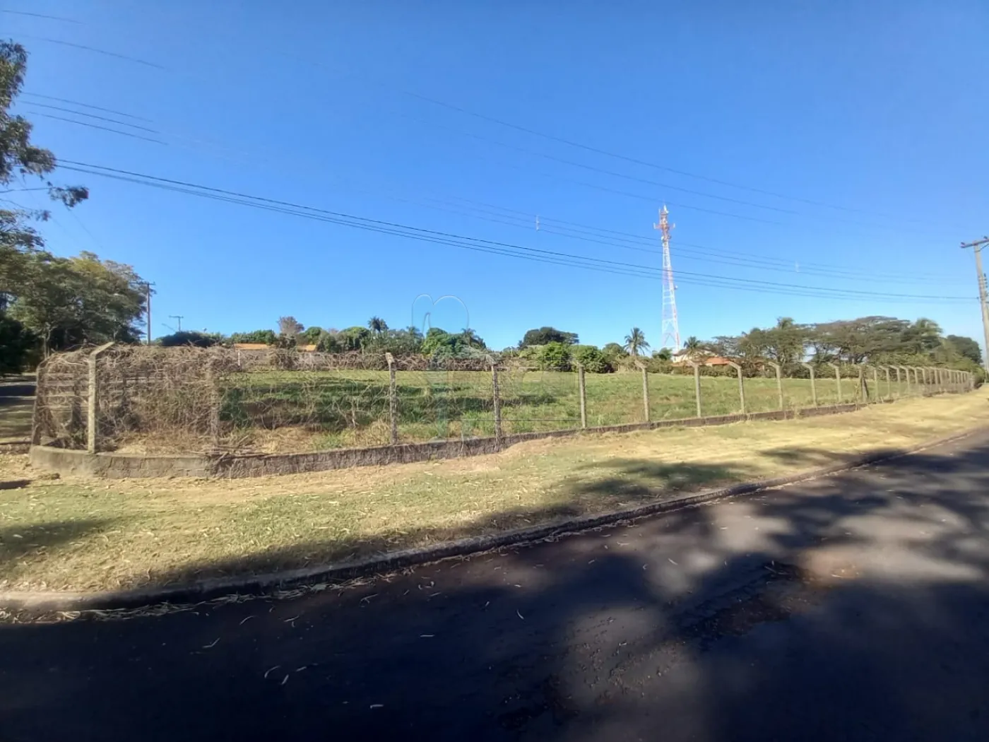 Alugar Terreno / Padrão em Ribeirão Preto R$ 2.500,00 - Foto 19