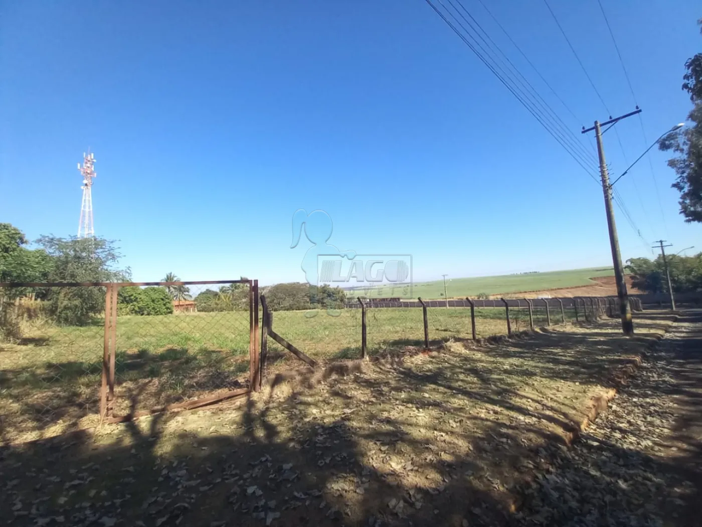 Alugar Terreno / Padrão em Ribeirão Preto R$ 2.500,00 - Foto 20