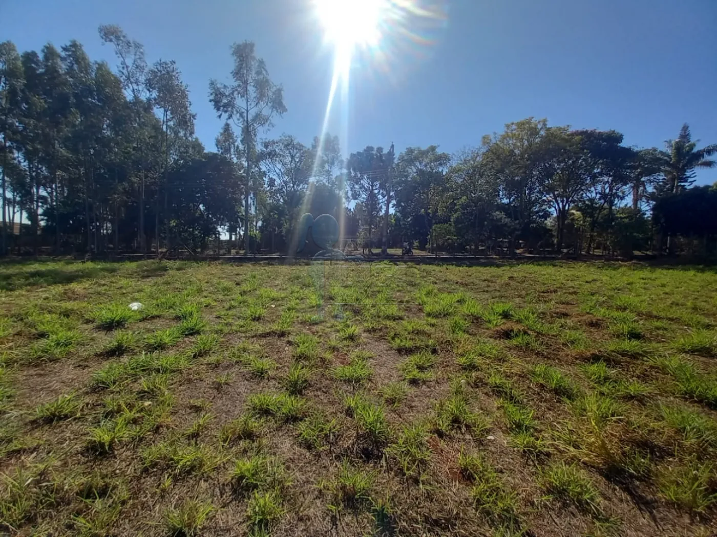 Alugar Terreno / Padrão em Ribeirão Preto R$ 2.500,00 - Foto 22