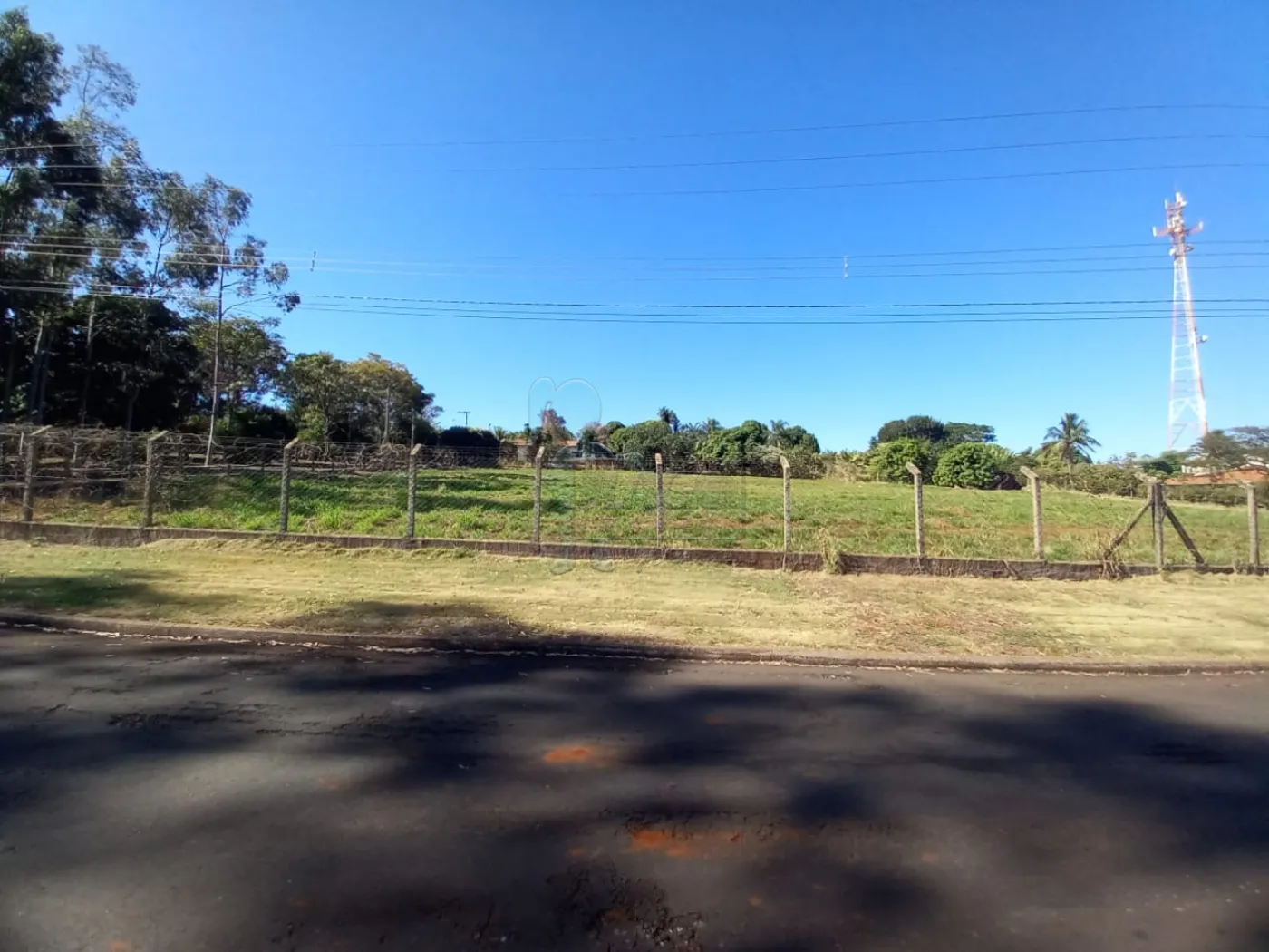 Alugar Terreno / Padrão em Ribeirão Preto R$ 2.500,00 - Foto 23