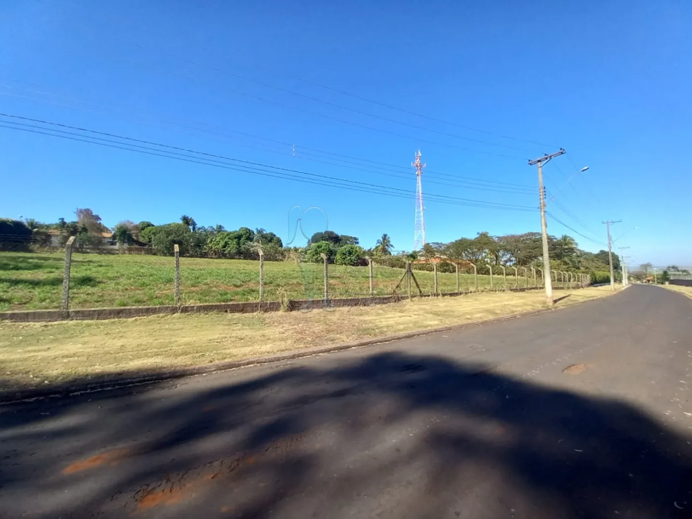 Alugar Terreno / Padrão em Ribeirão Preto R$ 2.500,00 - Foto 24