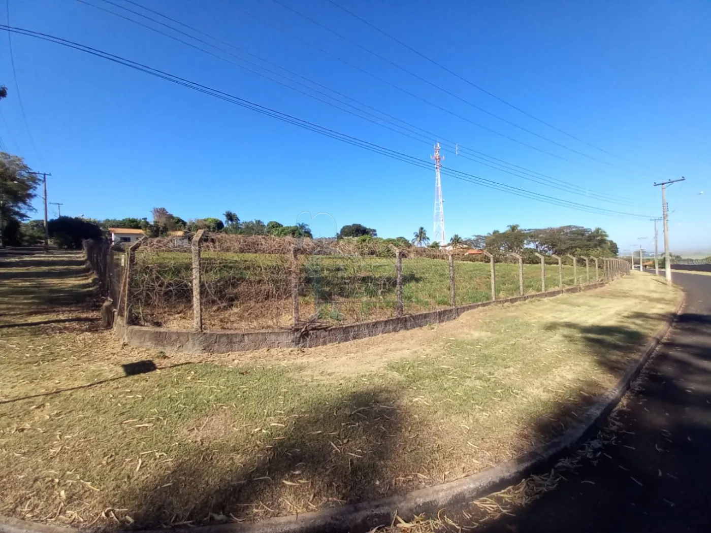 Alugar Terreno / Padrão em Ribeirão Preto R$ 2.500,00 - Foto 27