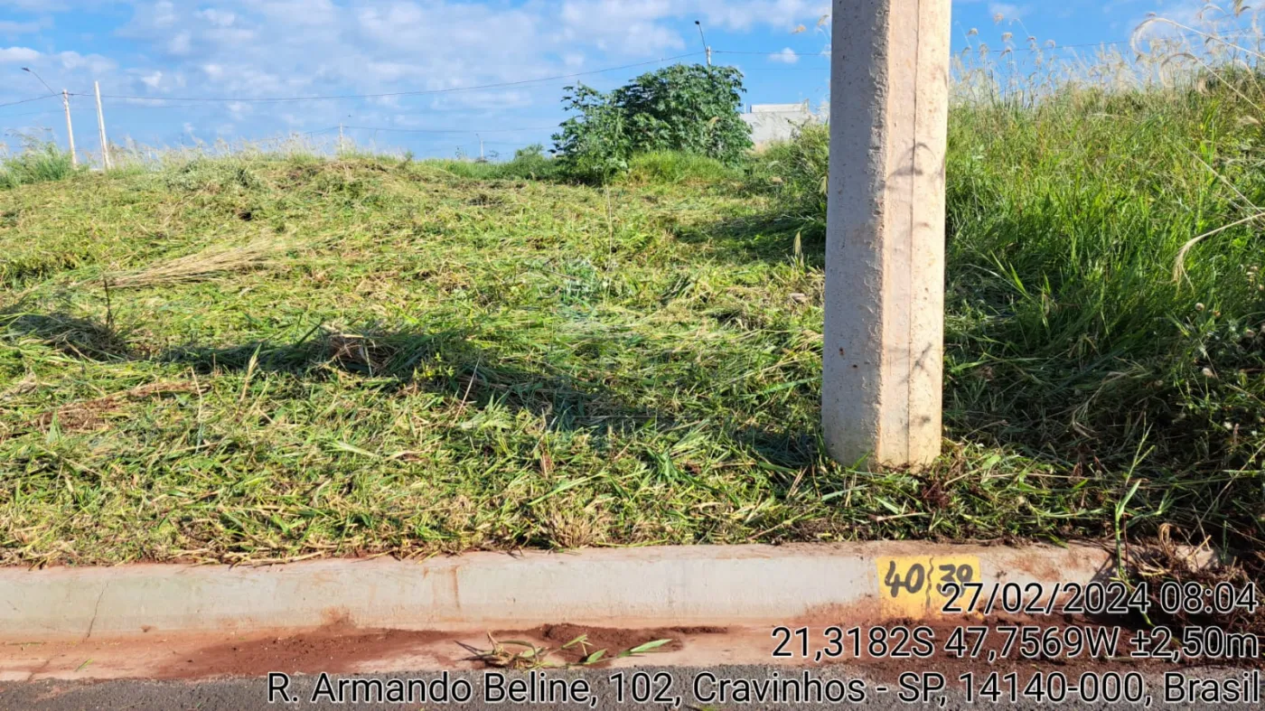 Comprar Terreno / Padrão em Cravinhos R$ 120.000,00 - Foto 5