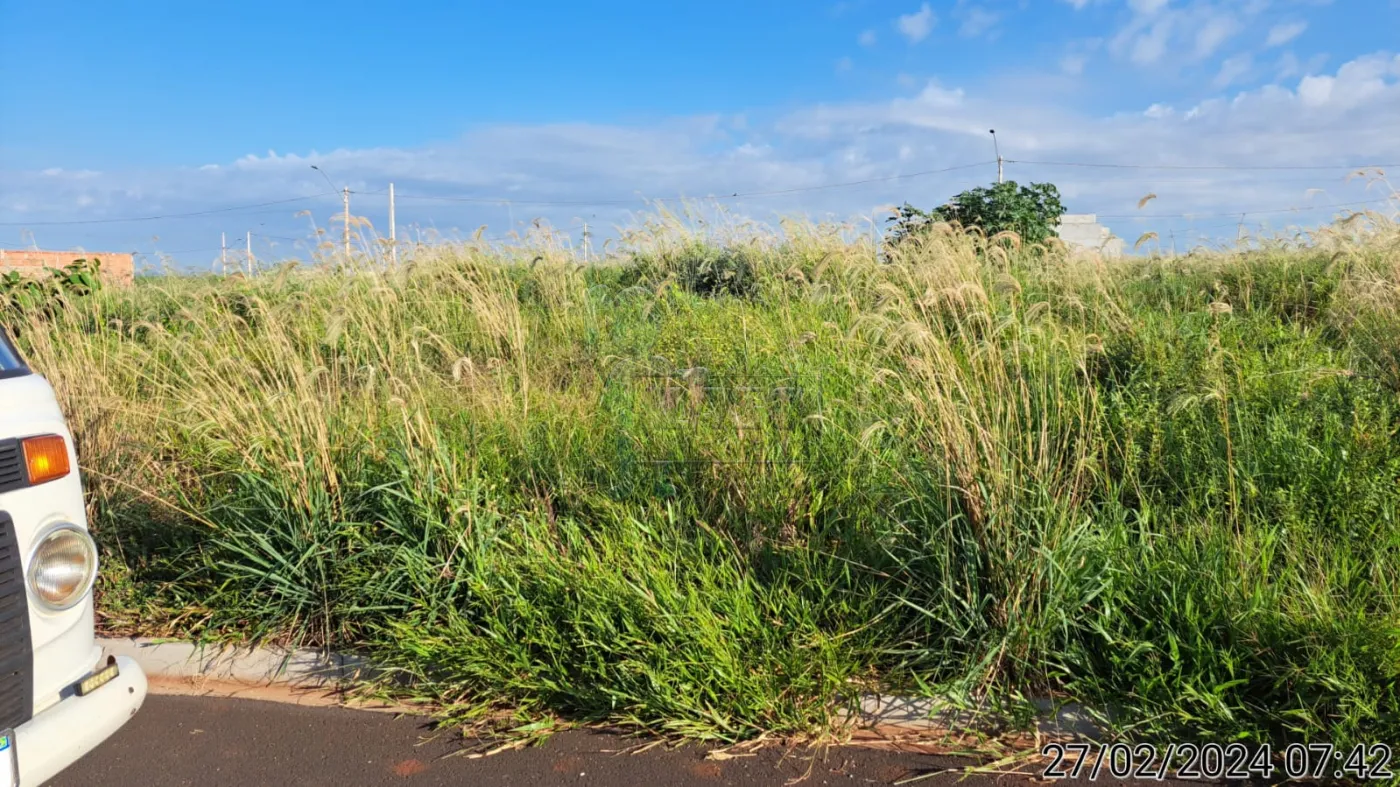 Comprar Terreno / Padrão em Cravinhos R$ 120.000,00 - Foto 7