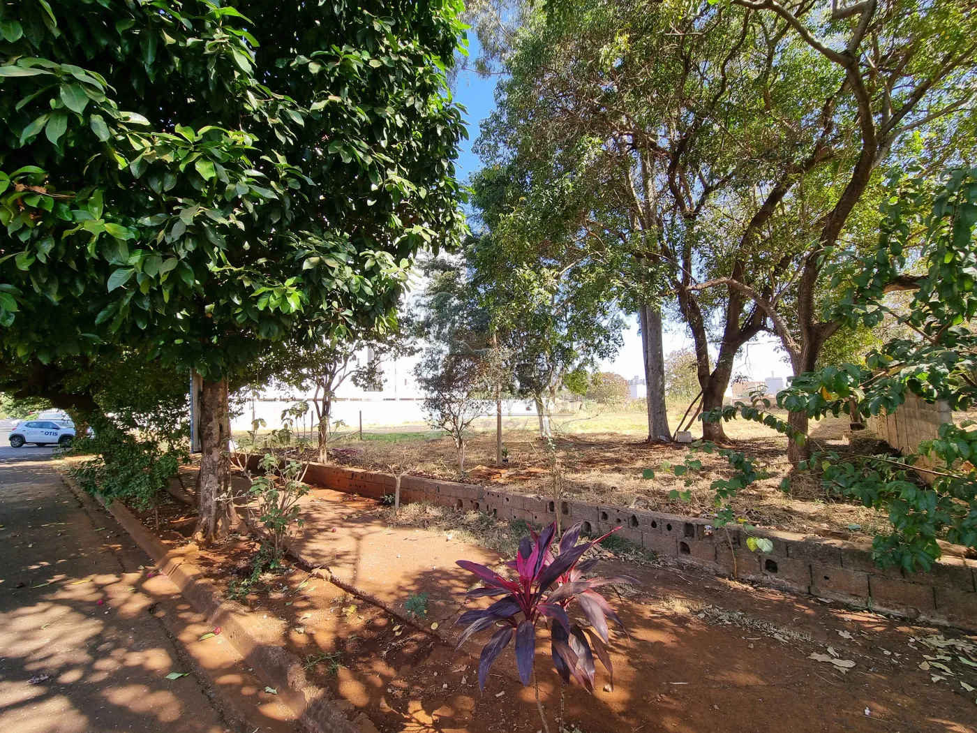 Comprar Terreno / Padrão em Ribeirão Preto R$ 1.305.000,00 - Foto 1