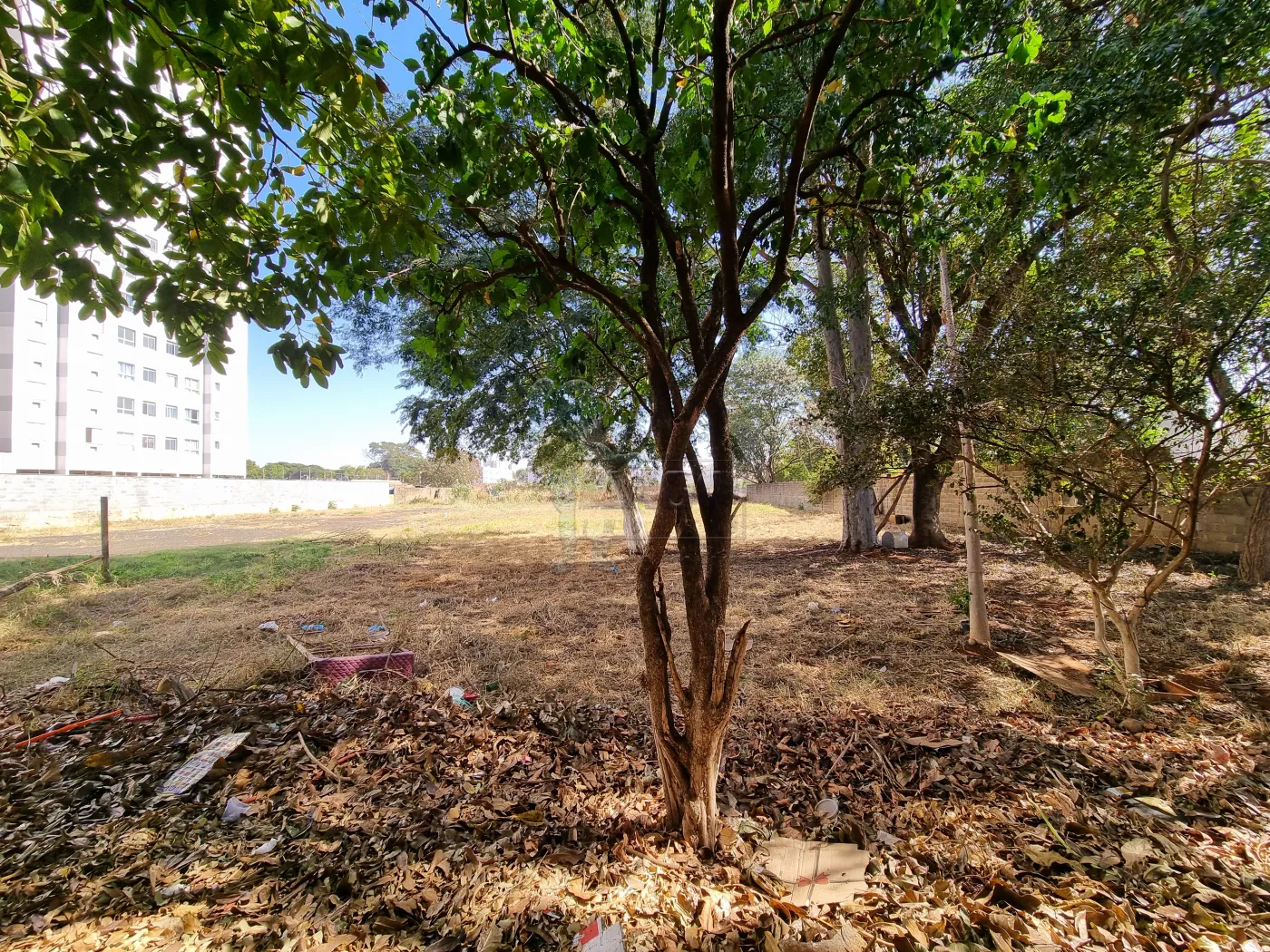 Comprar Terreno / Padrão em Ribeirão Preto R$ 1.305.000,00 - Foto 2