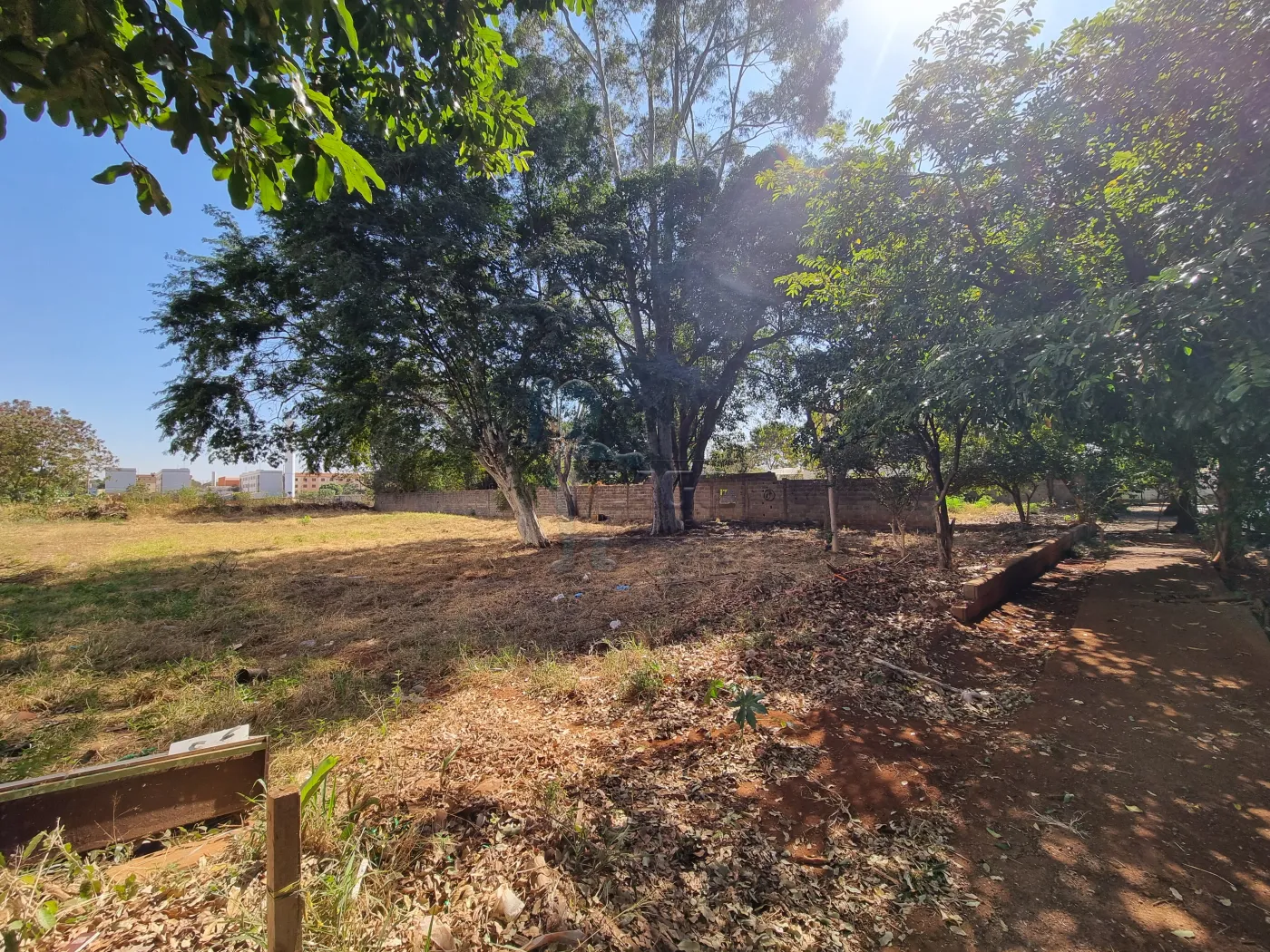 Comprar Terreno / Padrão em Ribeirão Preto R$ 1.305.000,00 - Foto 3