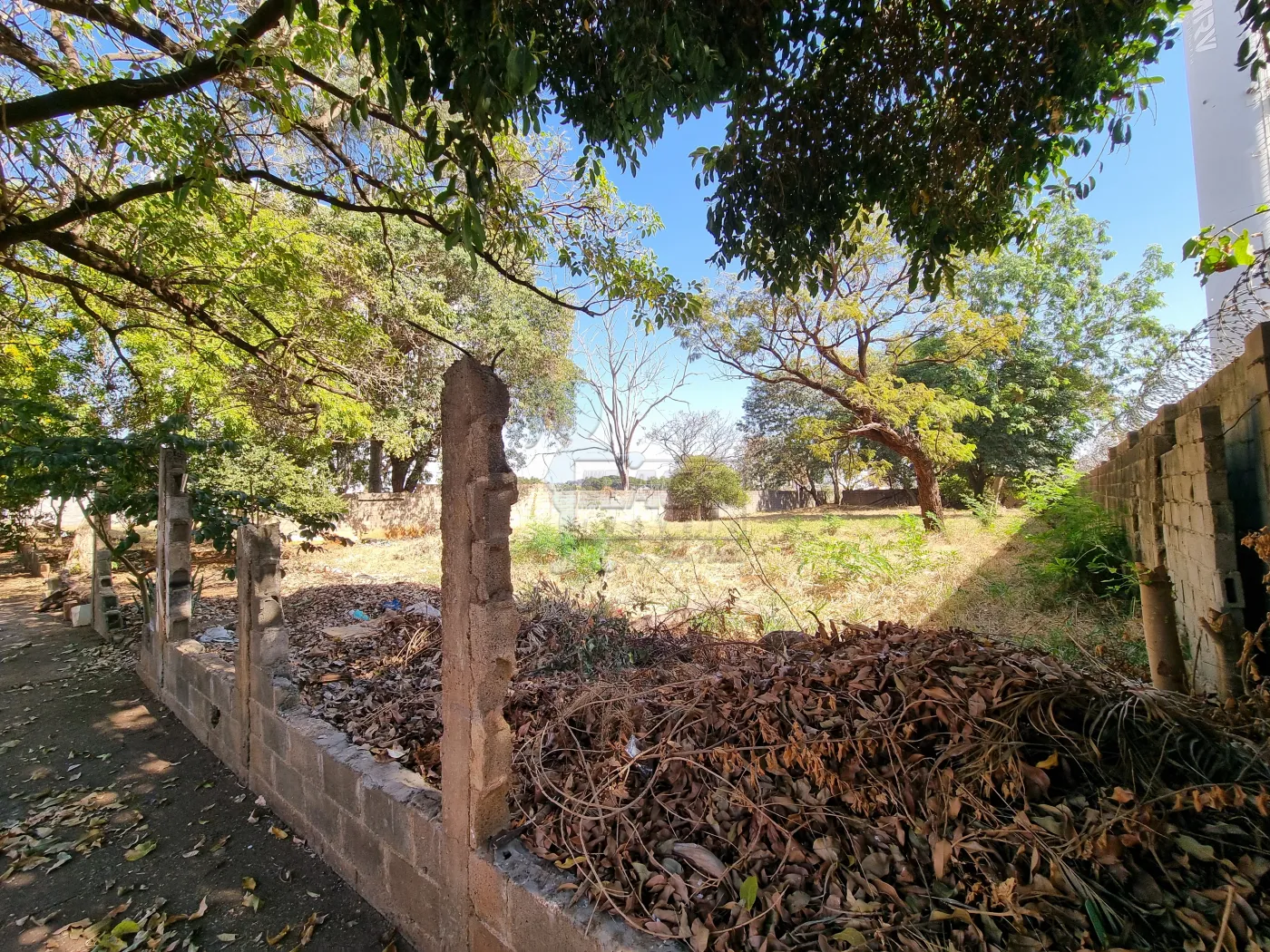 Comprar Terreno / Padrão em Ribeirão Preto R$ 1.305.000,00 - Foto 4