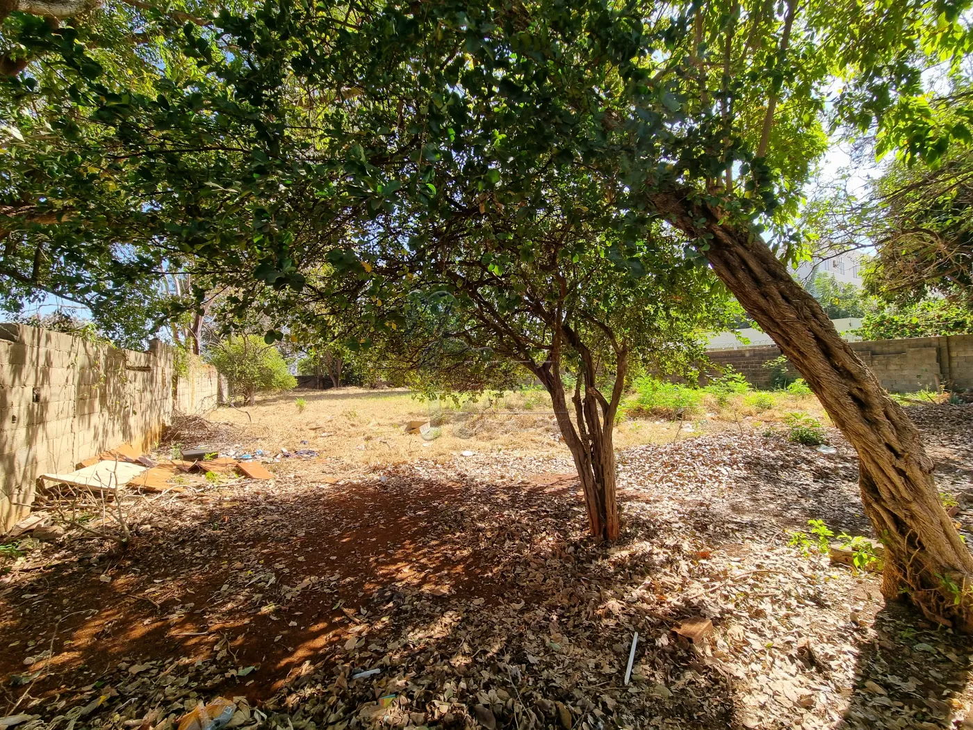 Comprar Terreno / Padrão em Ribeirão Preto R$ 1.305.000,00 - Foto 6