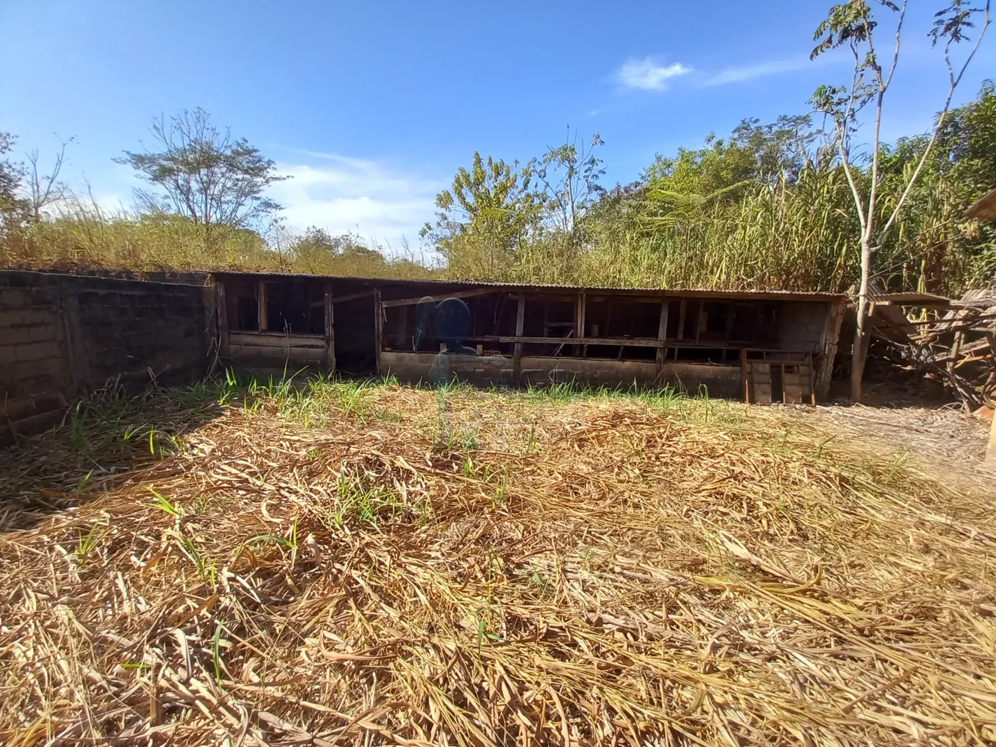 Alugar Casa condomínio / Chácara - Rancho em Ribeirão Preto R$ 5.000,00 - Foto 25