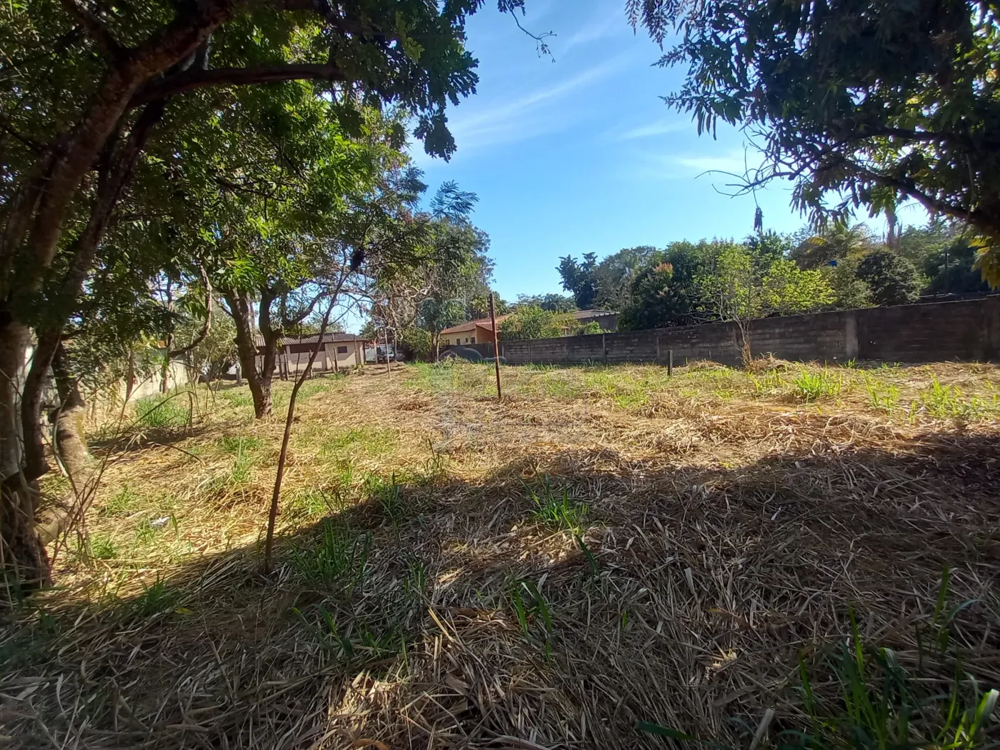 Alugar Casa condomínio / Chácara - Rancho em Ribeirão Preto R$ 5.000,00 - Foto 28