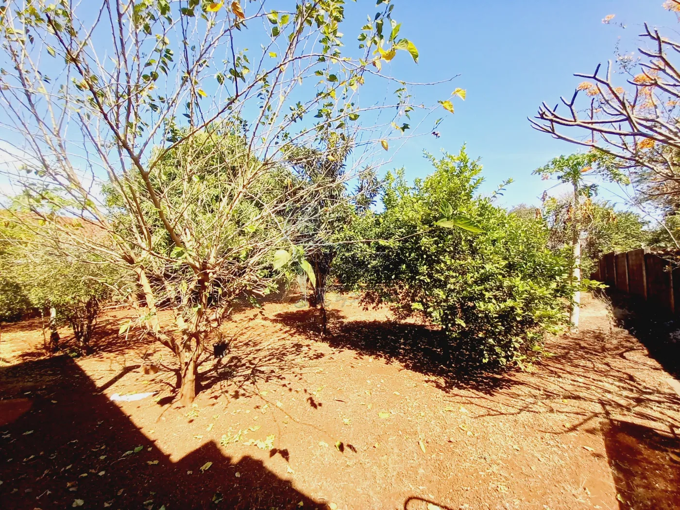 Alugar Casa / Chácara - Rancho em Ribeirão Preto R$ 6.500,00 - Foto 82