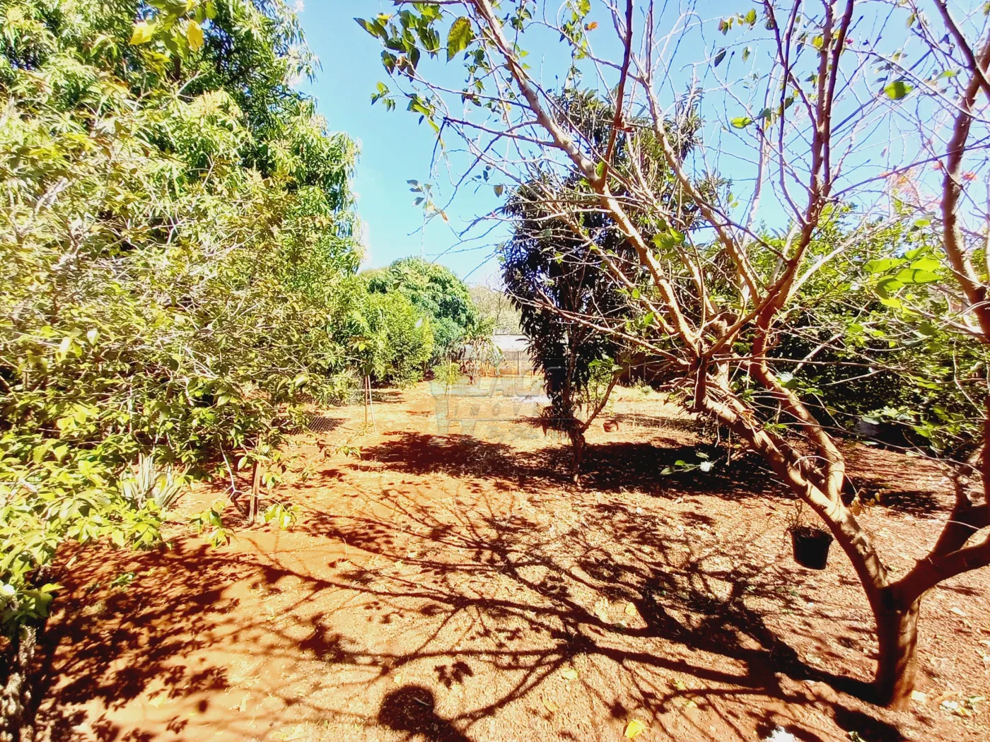 Alugar Casa / Chácara - Rancho em Ribeirão Preto R$ 6.500,00 - Foto 84