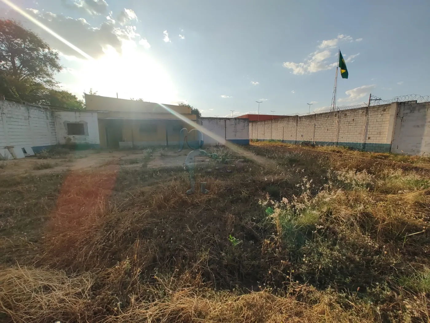 Comprar Terreno / Comercial em Ribeirão Preto R$ 2.700.000,00 - Foto 7