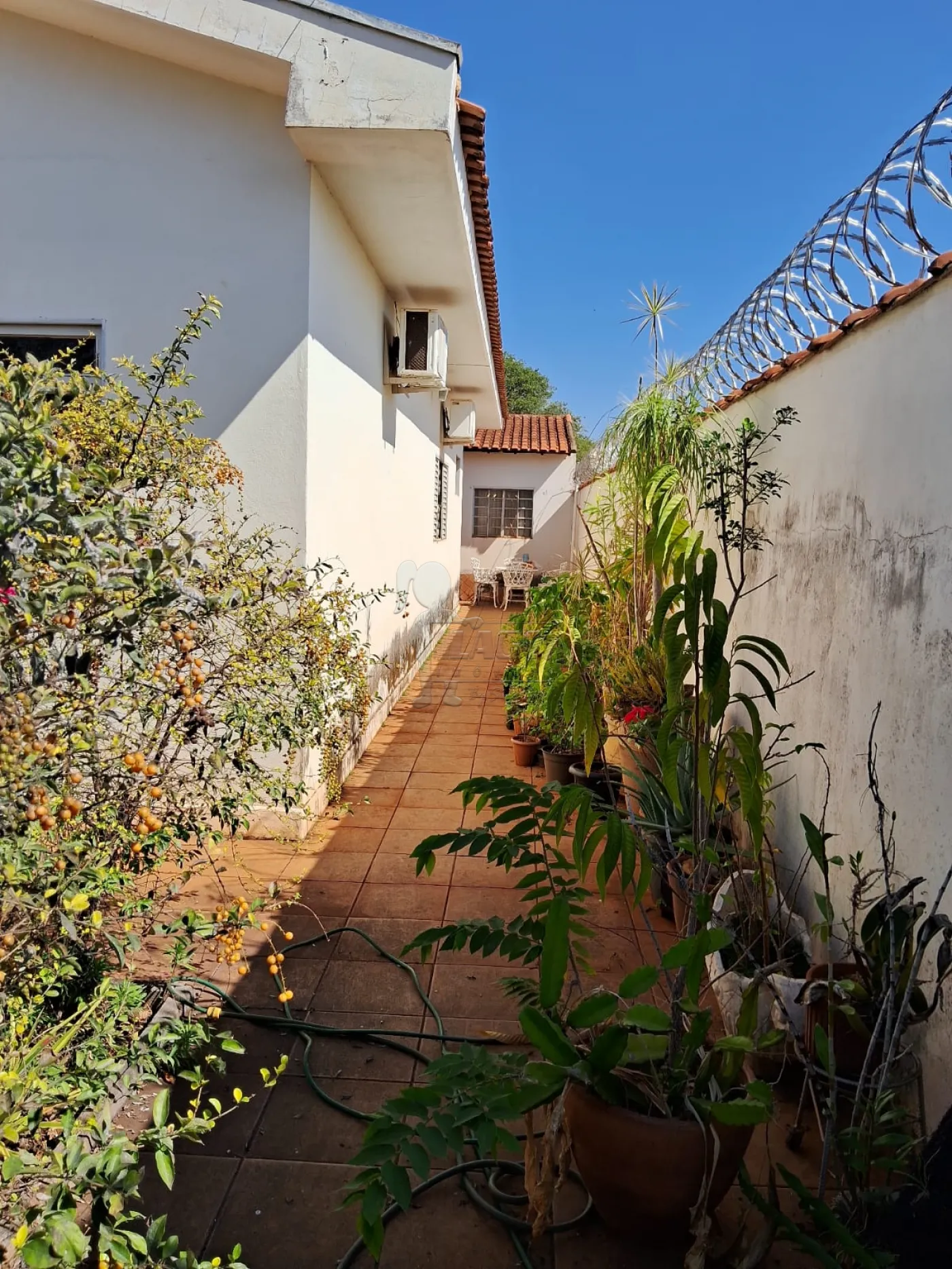 Comprar Casa / Padrão em Santa Cruz da Esperança R$ 450.000,00 - Foto 27