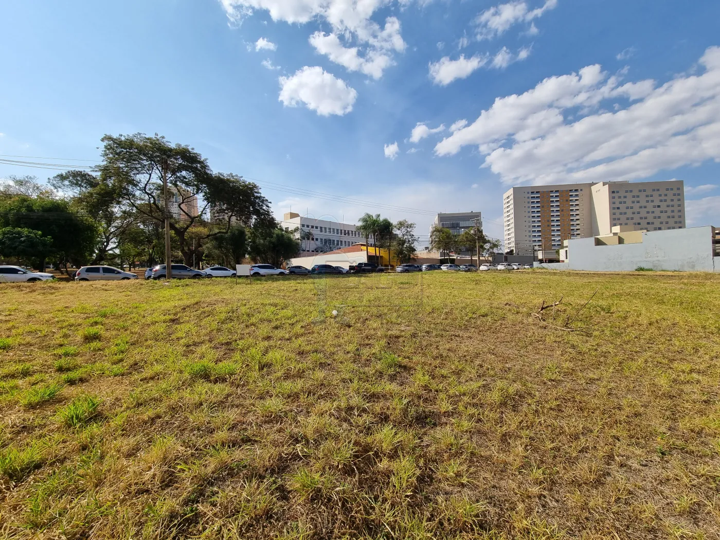 Comprar Terreno / Comercial em Ribeirão Preto R$ 489.000,00 - Foto 5