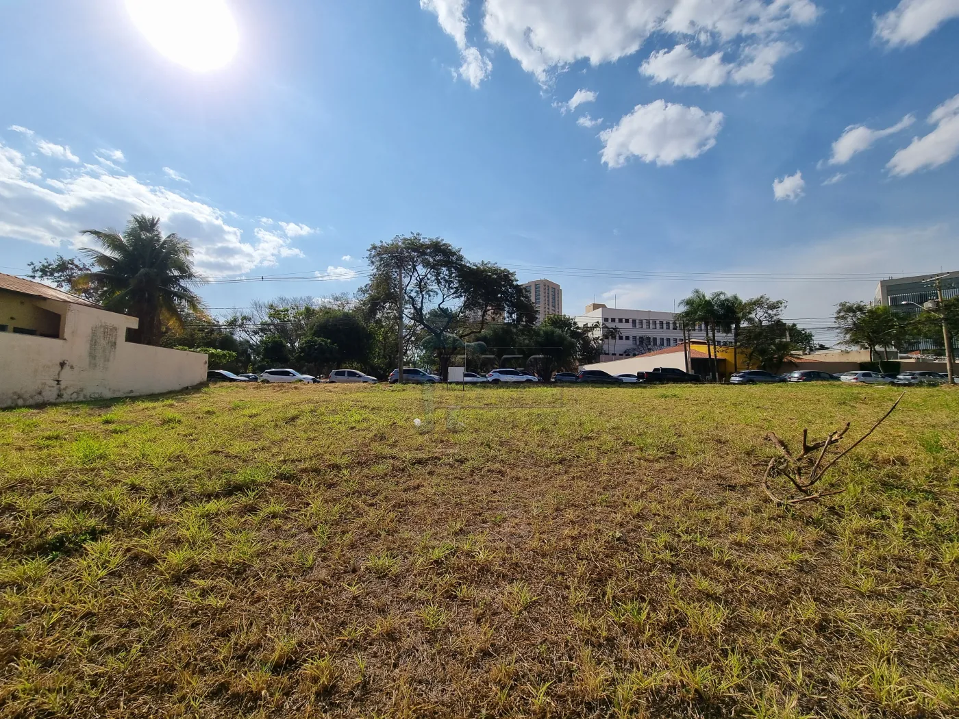 Comprar Terreno / Comercial em Ribeirão Preto R$ 489.000,00 - Foto 6