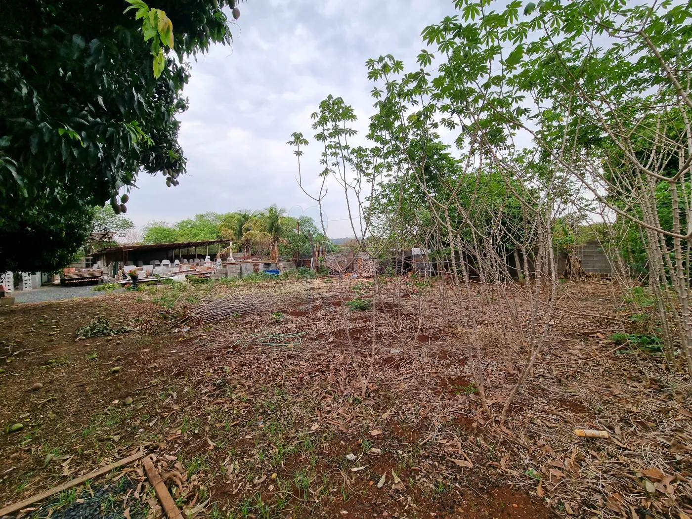 Comprar Terreno / Padrão em Ribeirão Preto R$ 3.200.000,00 - Foto 3