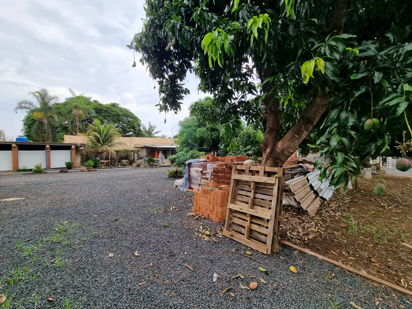 Comprar Terreno / Padrão em Ribeirão Preto R$ 3.200.000,00 - Foto 4