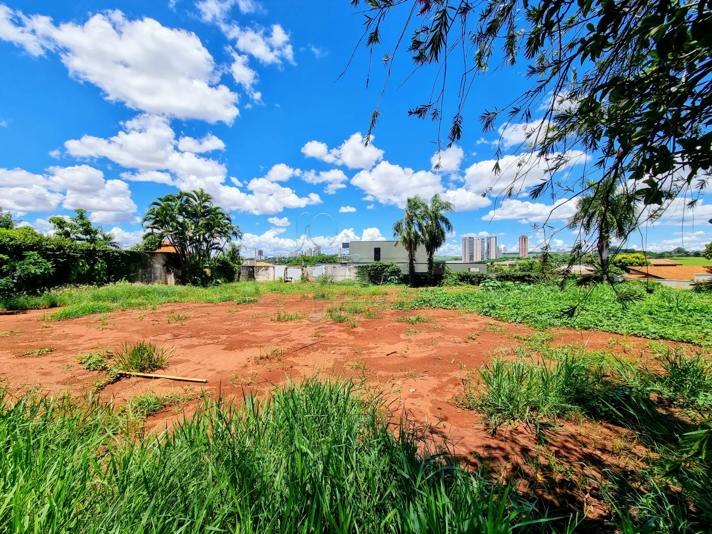 Comprar Terreno / Condomínio em Bonfim Paulista R$ 887.000,00 - Foto 2