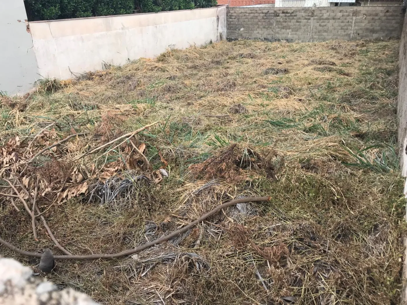 Comprar Terreno / Padrão em Ribeirão Preto R$ 320.000,00 - Foto 4