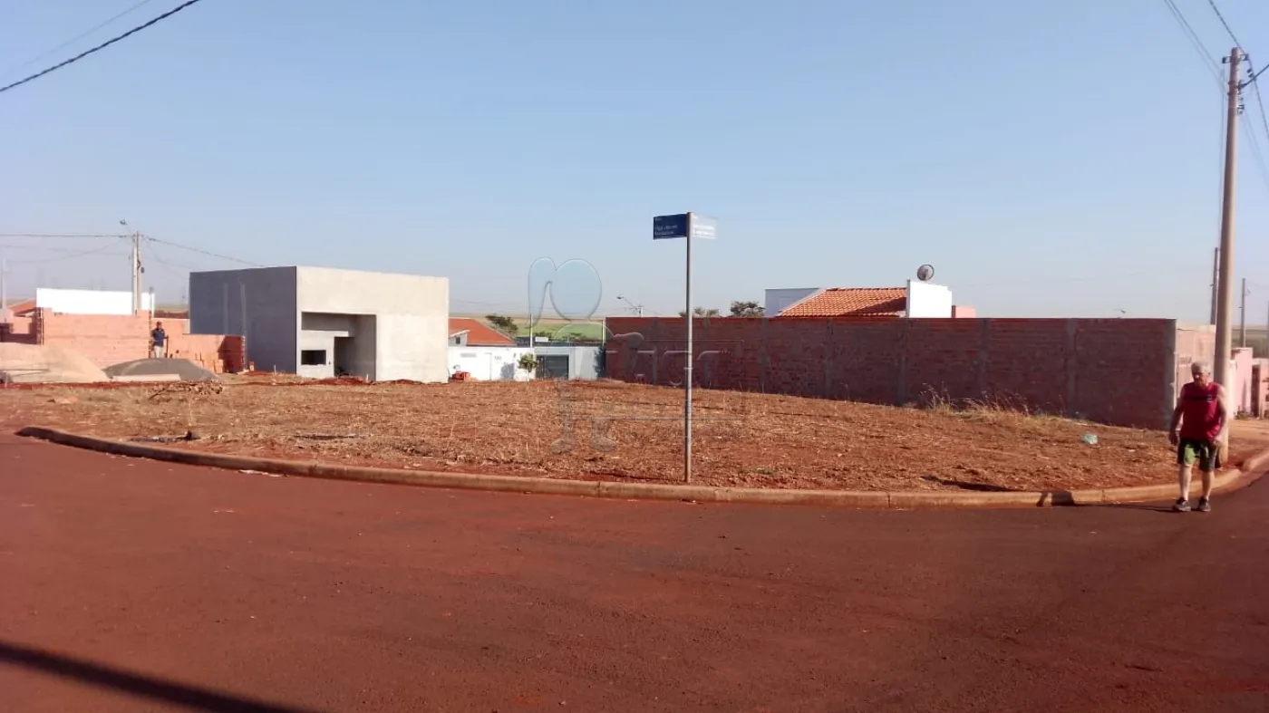 Comprar Terreno / Padrão em Sertãozinho R$ 74.500,00 - Foto 1