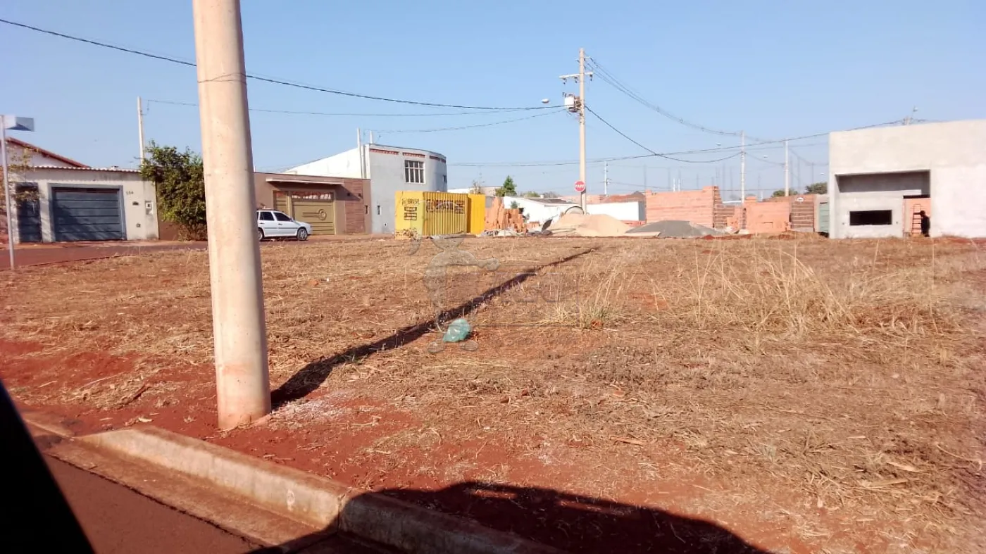 Comprar Terreno / Padrão em Sertãozinho R$ 74.500,00 - Foto 4