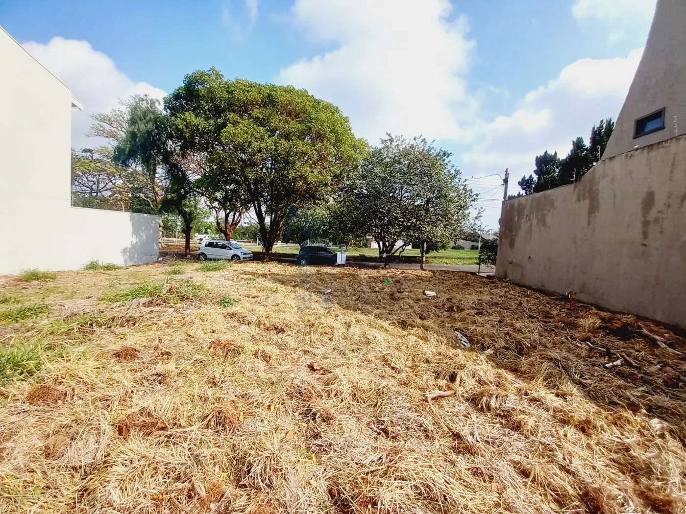 Comprar Terreno / Padrão em Ribeirão Preto R$ 500.000,00 - Foto 6