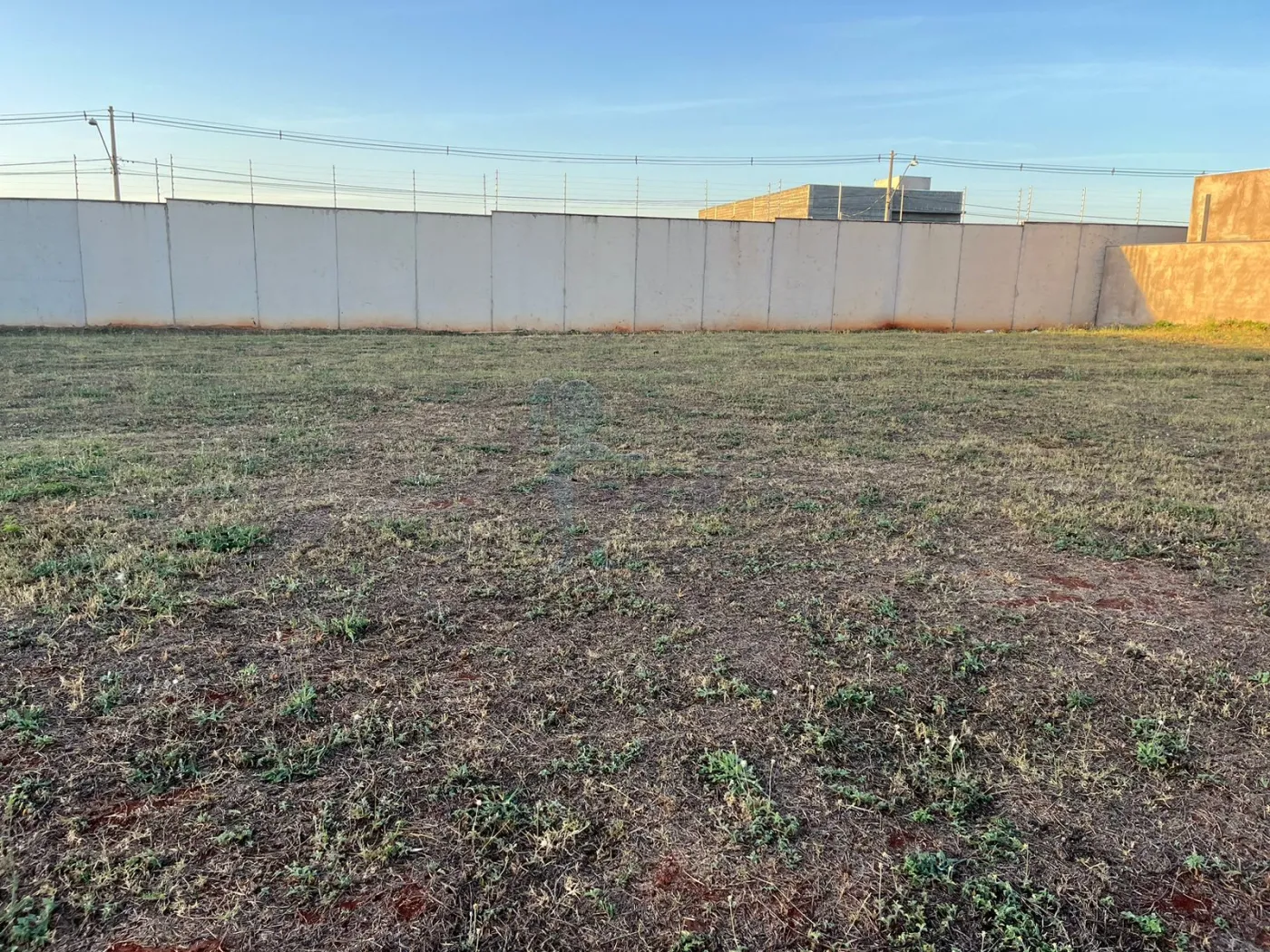 Comprar Terreno / Condomínio em Ribeirão Preto R$ 245.000,00 - Foto 3