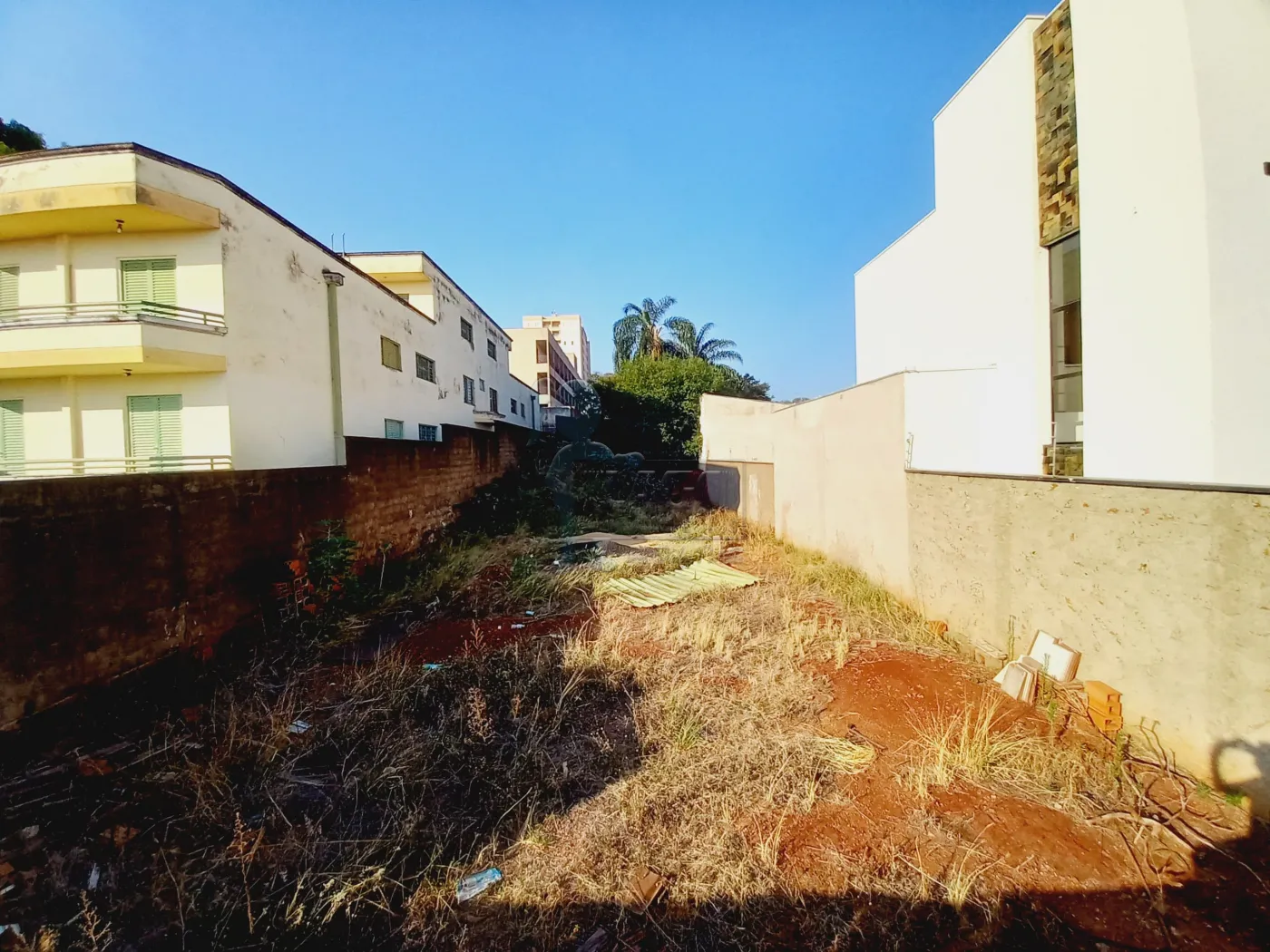 Comprar Terreno / Padrão em Ribeirão Preto R$ 320.000,00 - Foto 1