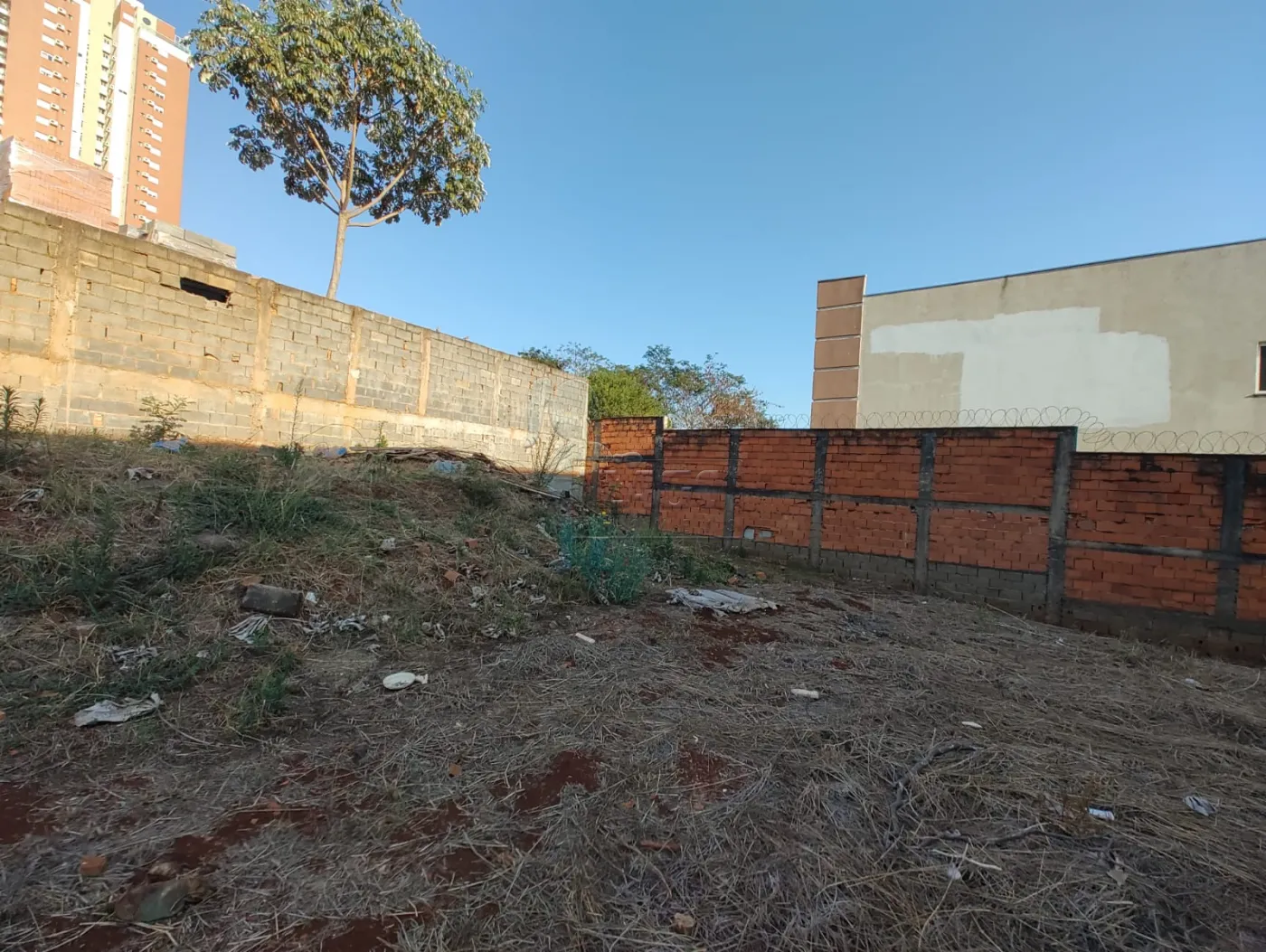 Comprar Terreno / Padrão em Ribeirão Preto R$ 1.270.000,00 - Foto 5