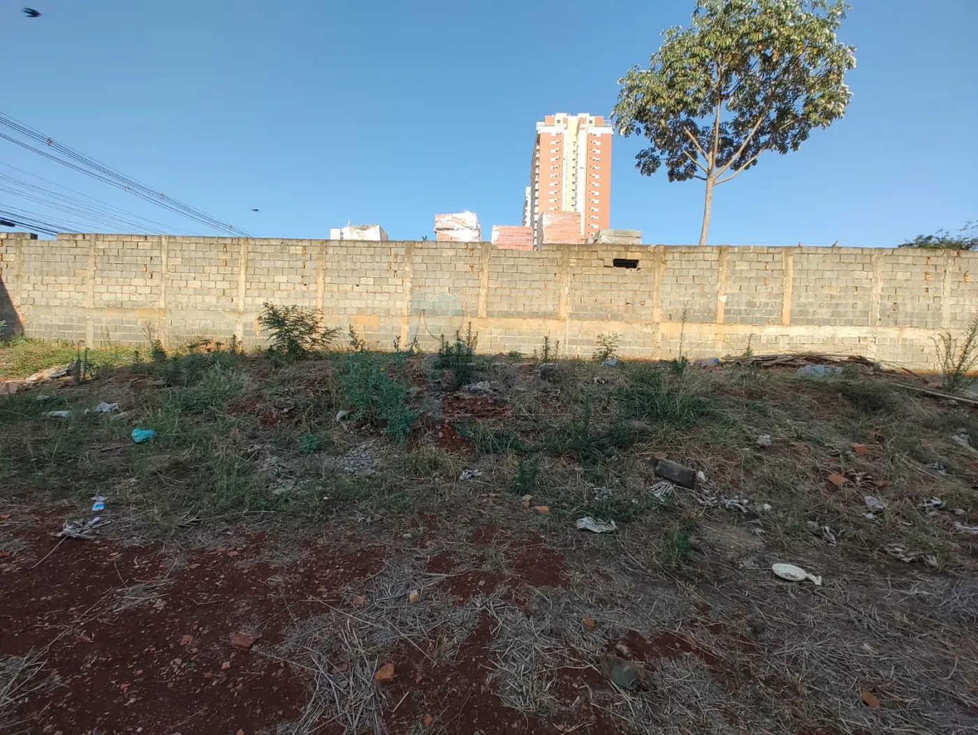 Comprar Terreno / Padrão em Ribeirão Preto R$ 1.270.000,00 - Foto 6