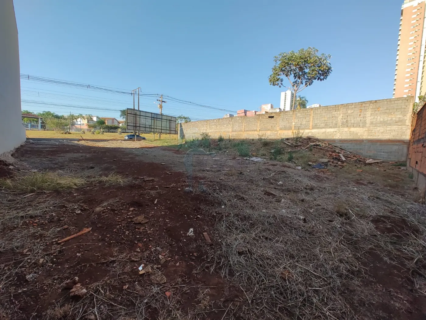 Comprar Terreno / Padrão em Ribeirão Preto R$ 1.270.000,00 - Foto 8